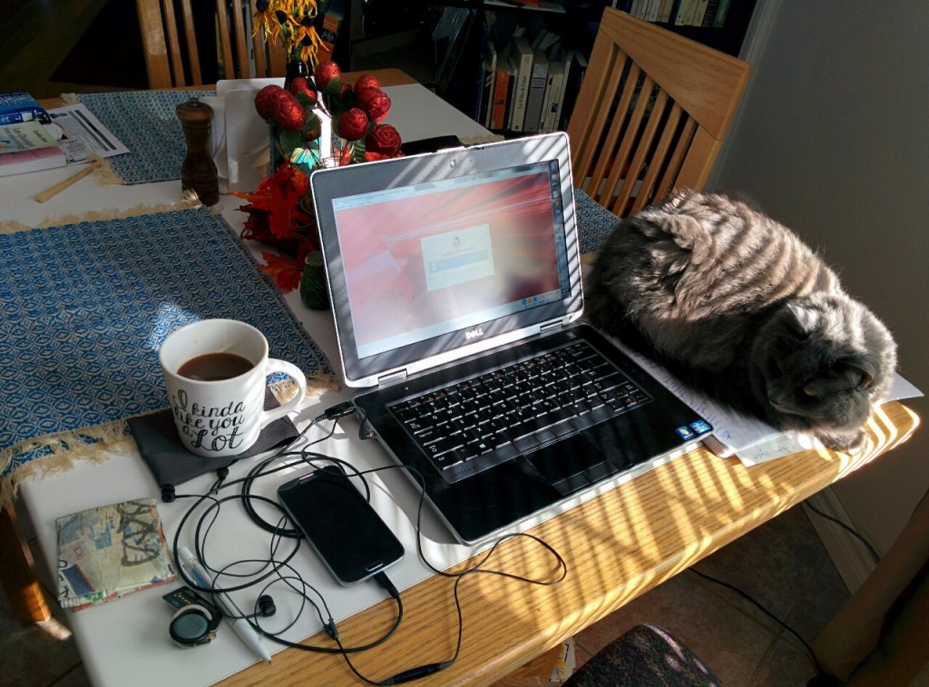 workfromhome