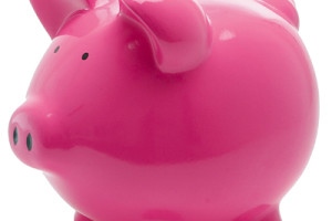 Botnet Movie & Finances