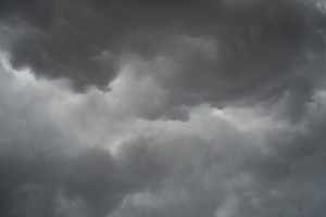 The Myth of Free Will