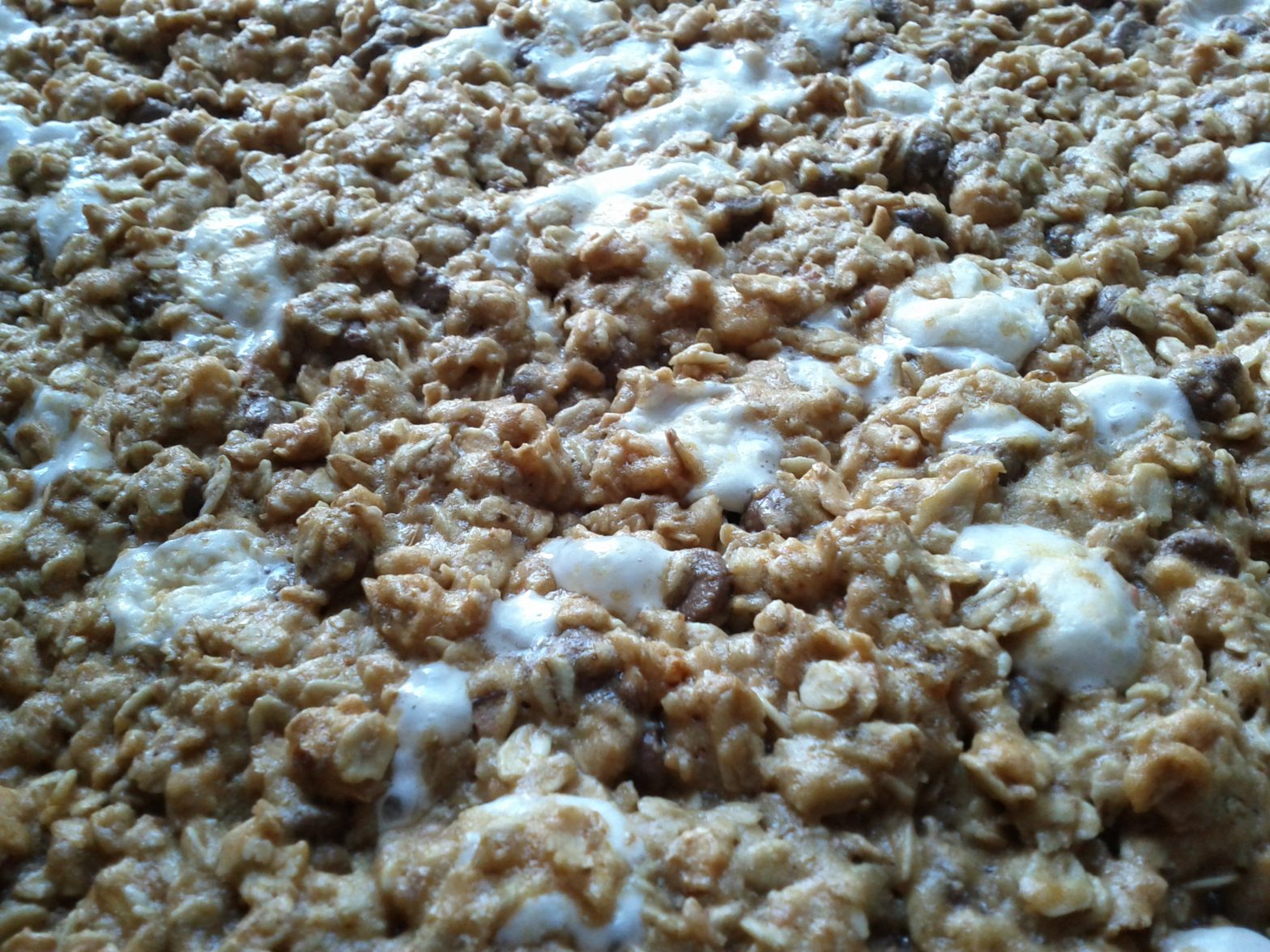 Granola Bars